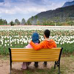 Kashmir Tour Packages, Jammu Kashmir Holiday Packages, Leh ladakh Tour Packages,  Srinagar with Ladakh Tour Packages 