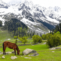 Kashmir Tour Packages, Jammu Kashmir Holiday Packages, Leh ladakh Tour Packages,  Srinagar with Ladakh Tour Packages 